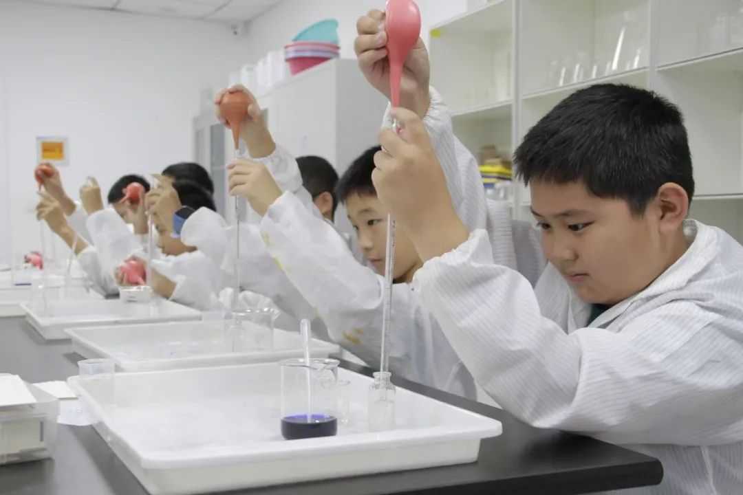 学员风采
